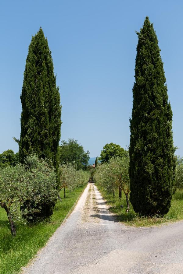 Villa Il Rossignolo Grassina Exterior foto